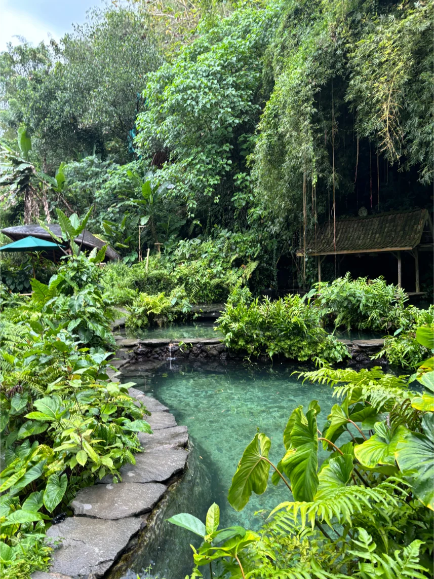 Jungle Pool